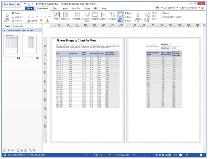 PriPrinter Printing MS Excel Tables